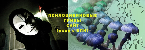 скорость Кукмор